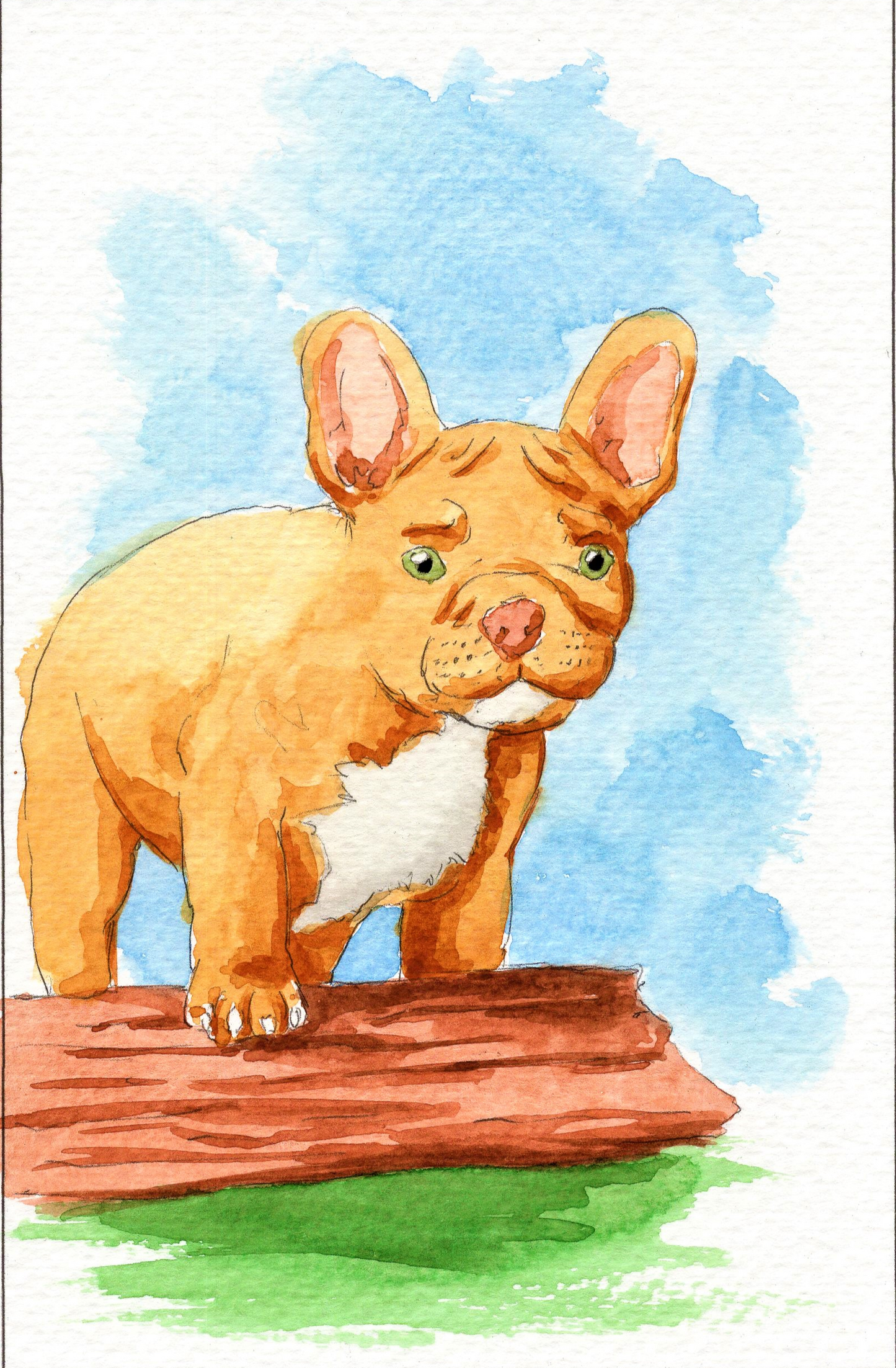 Cute Dog Watercoloring book