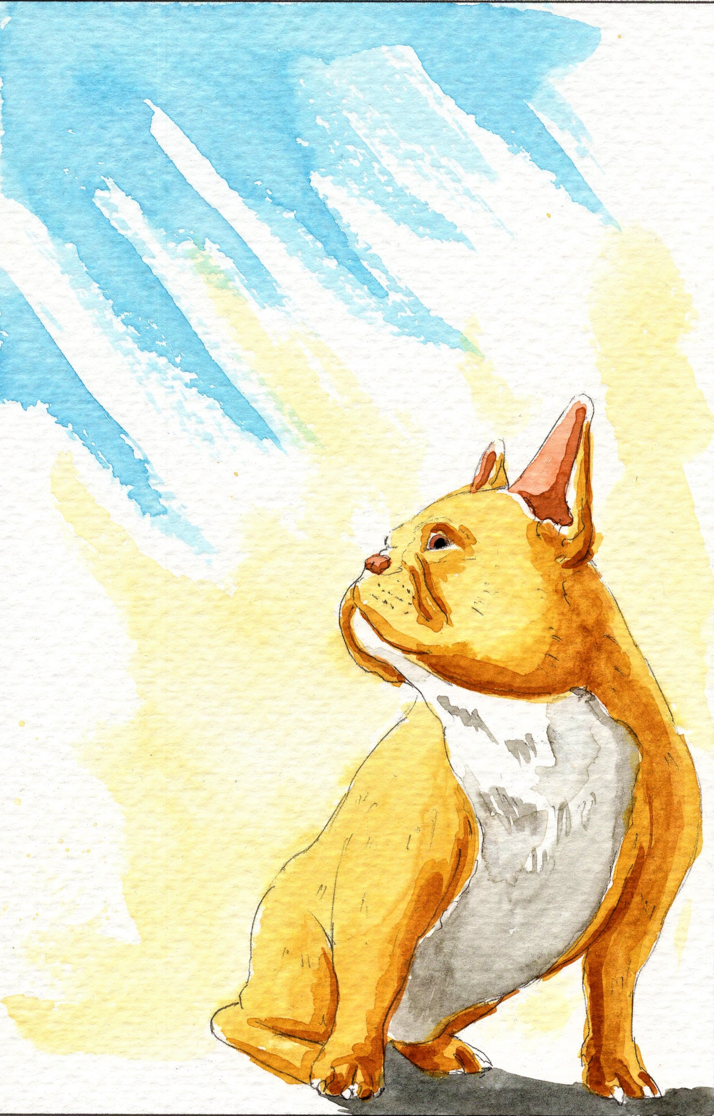 Cute Dog Watercoloring book