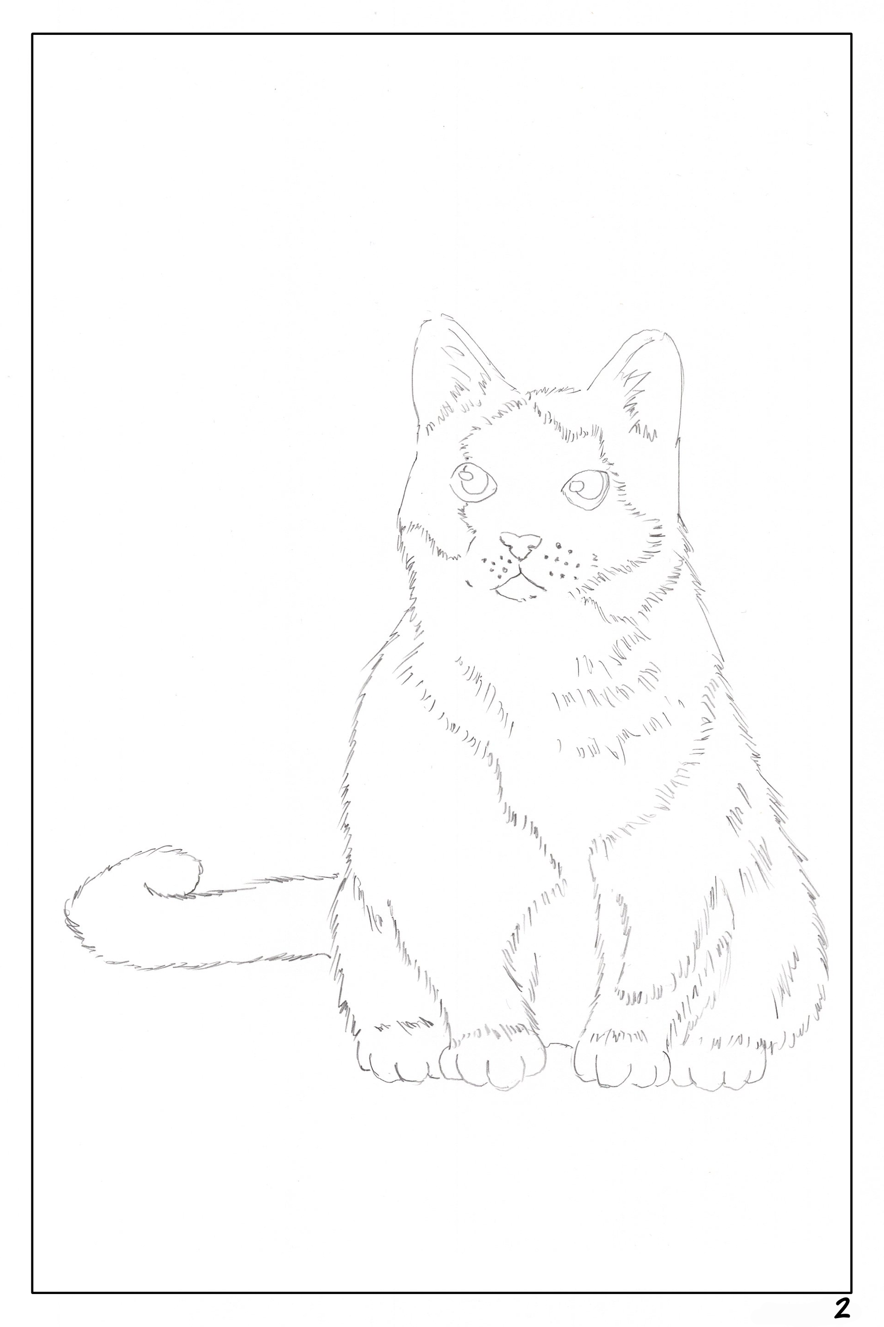 date night watercolor workbook page 2, coloring page of a cute cat