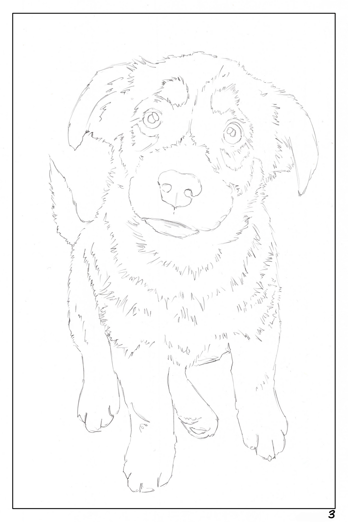 watercolor workbook for Date Night, coloring page of a cute German Shepherd puppy dog
