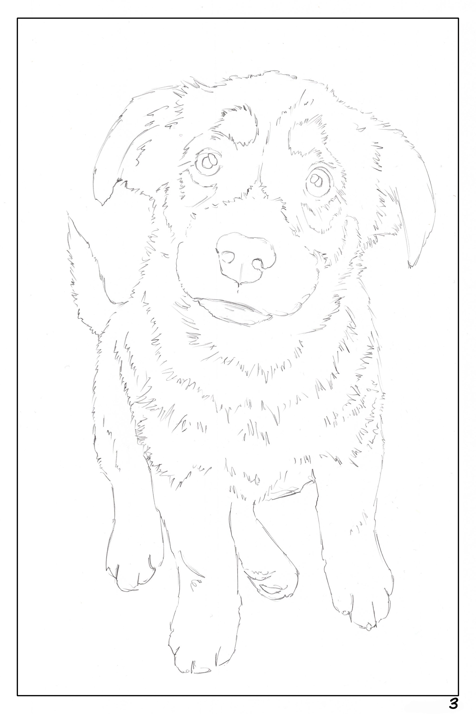 watercolor workbook for Date Night, coloring page of a cute German Shepherd puppy dog