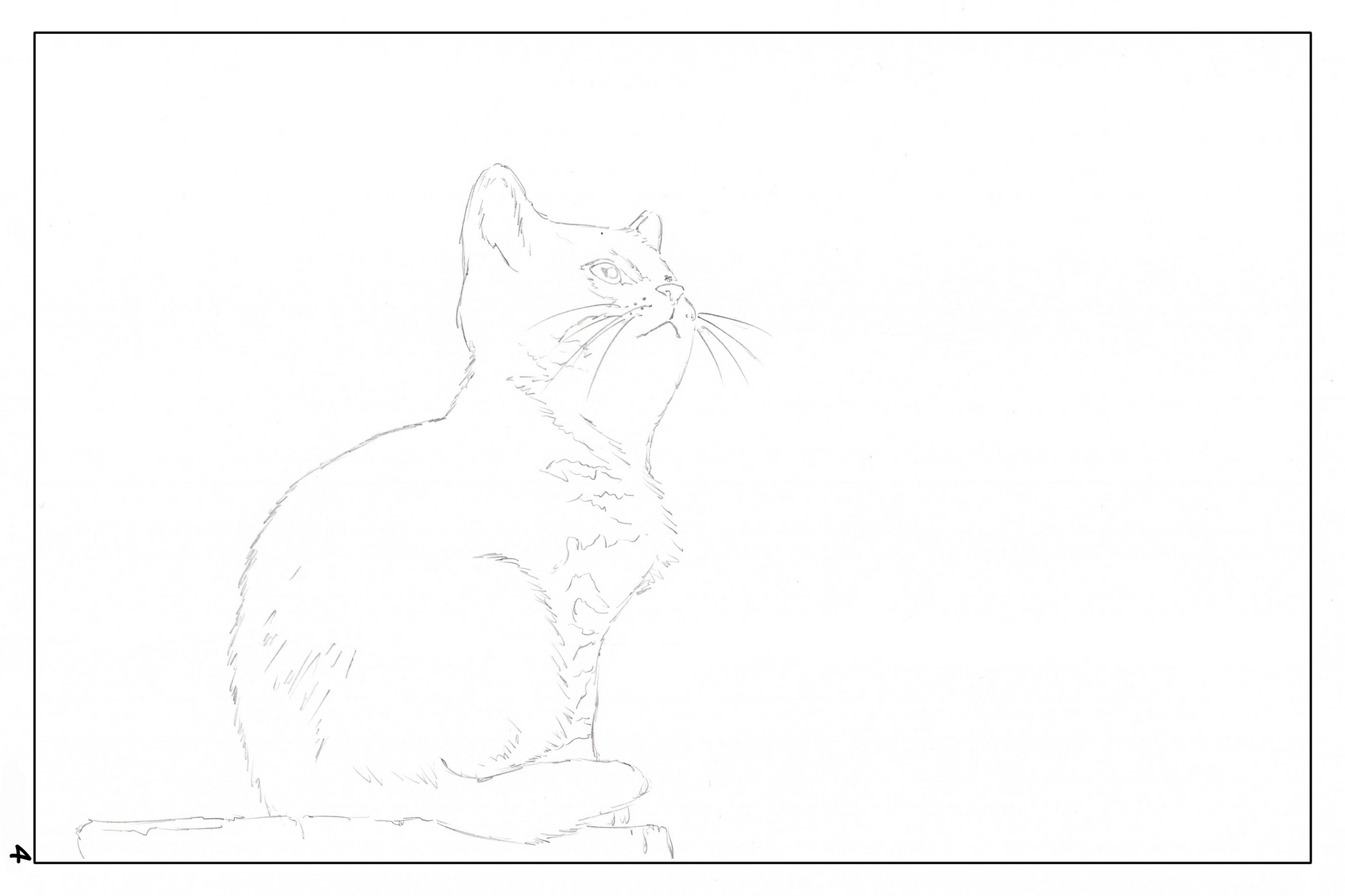 watercolor workbook page 4, cute cat coloring page