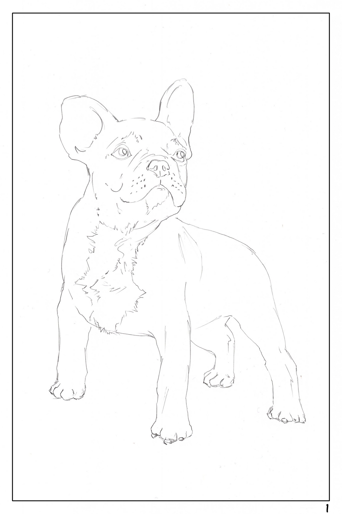 Cute Dog Watercoloring book