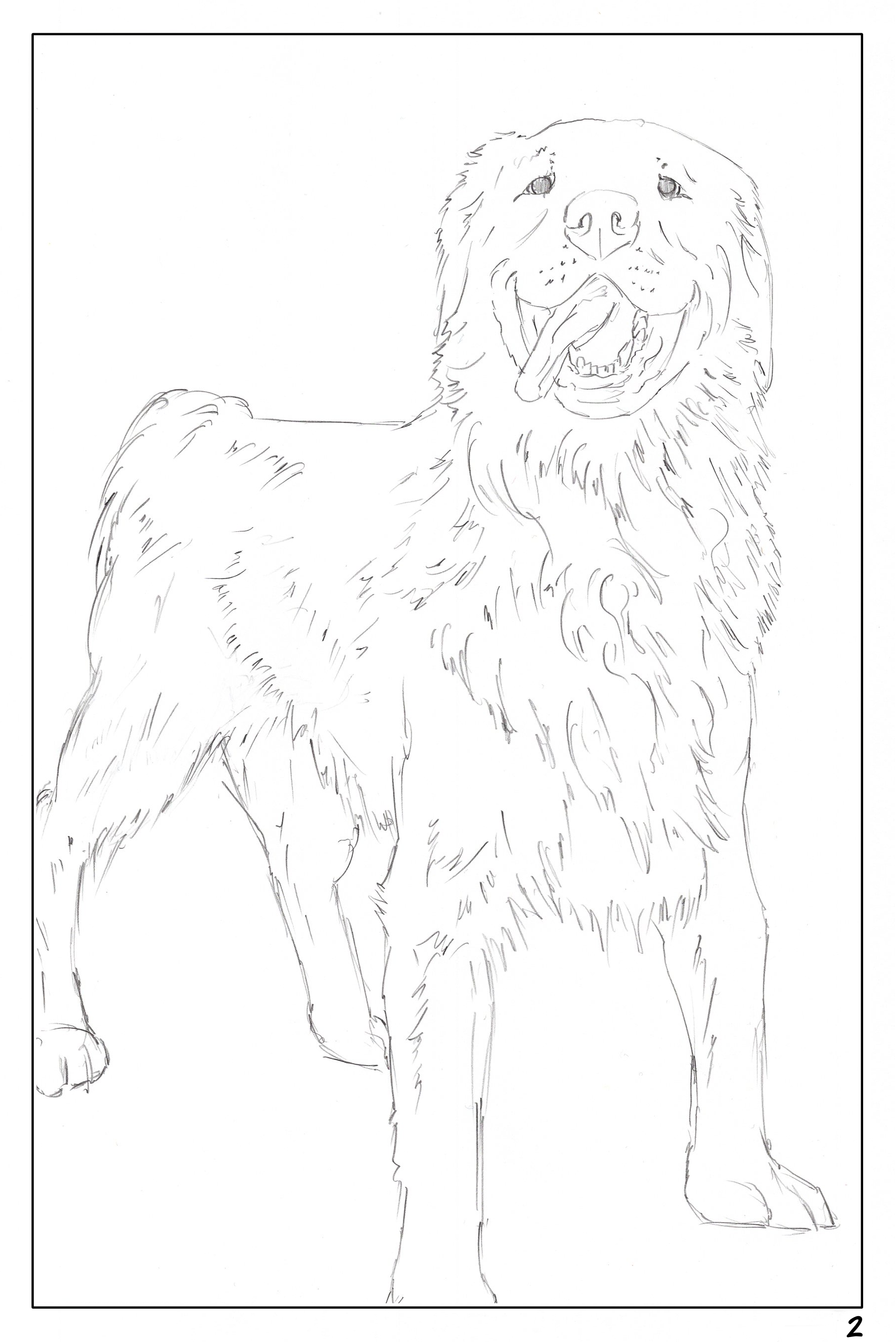 watercolor workbook page 2, from cute dogs watercolor workbook