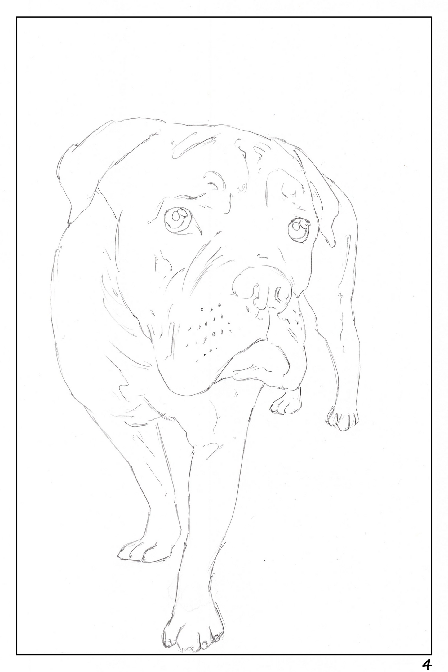 watercolor workbook page 4, paint along page of a Boxer dog
