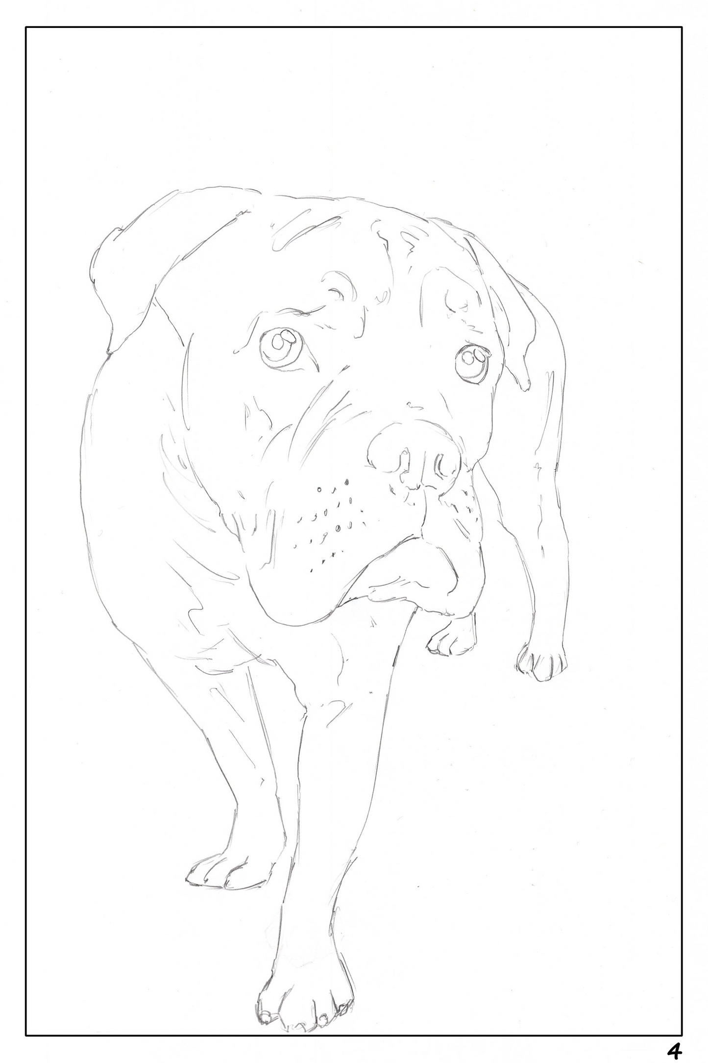 Cute Dog Watercoloring book