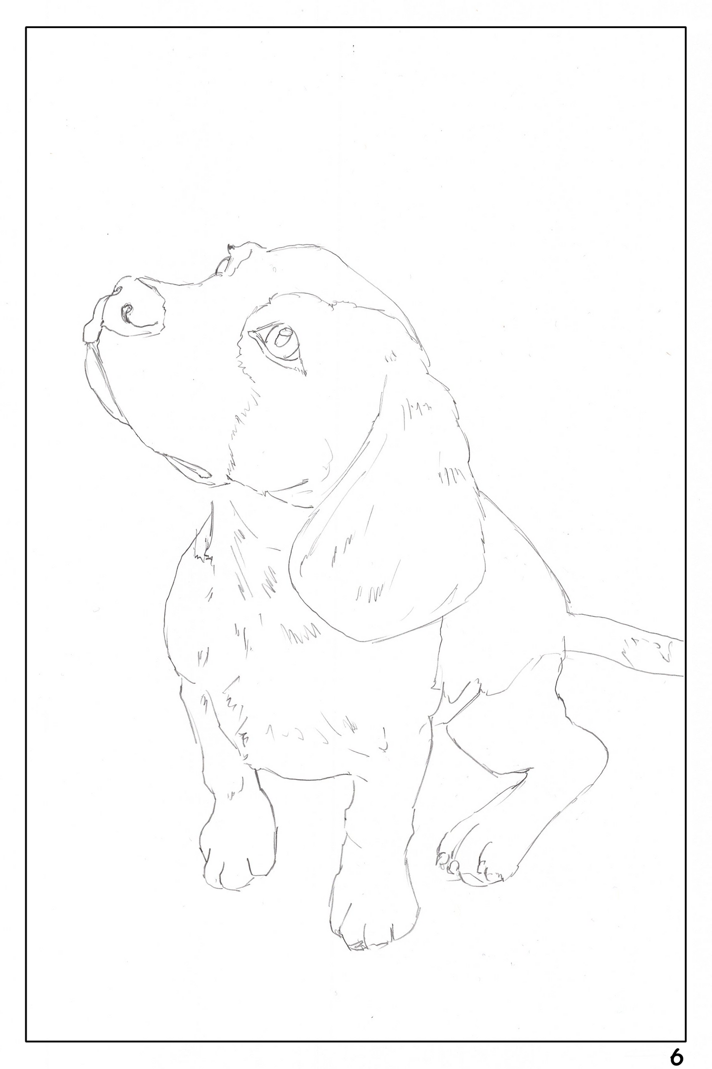 Cute Dog Watercoloring book