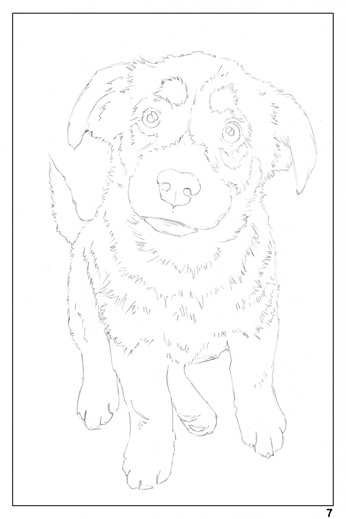 Cute Dog Watercoloring book