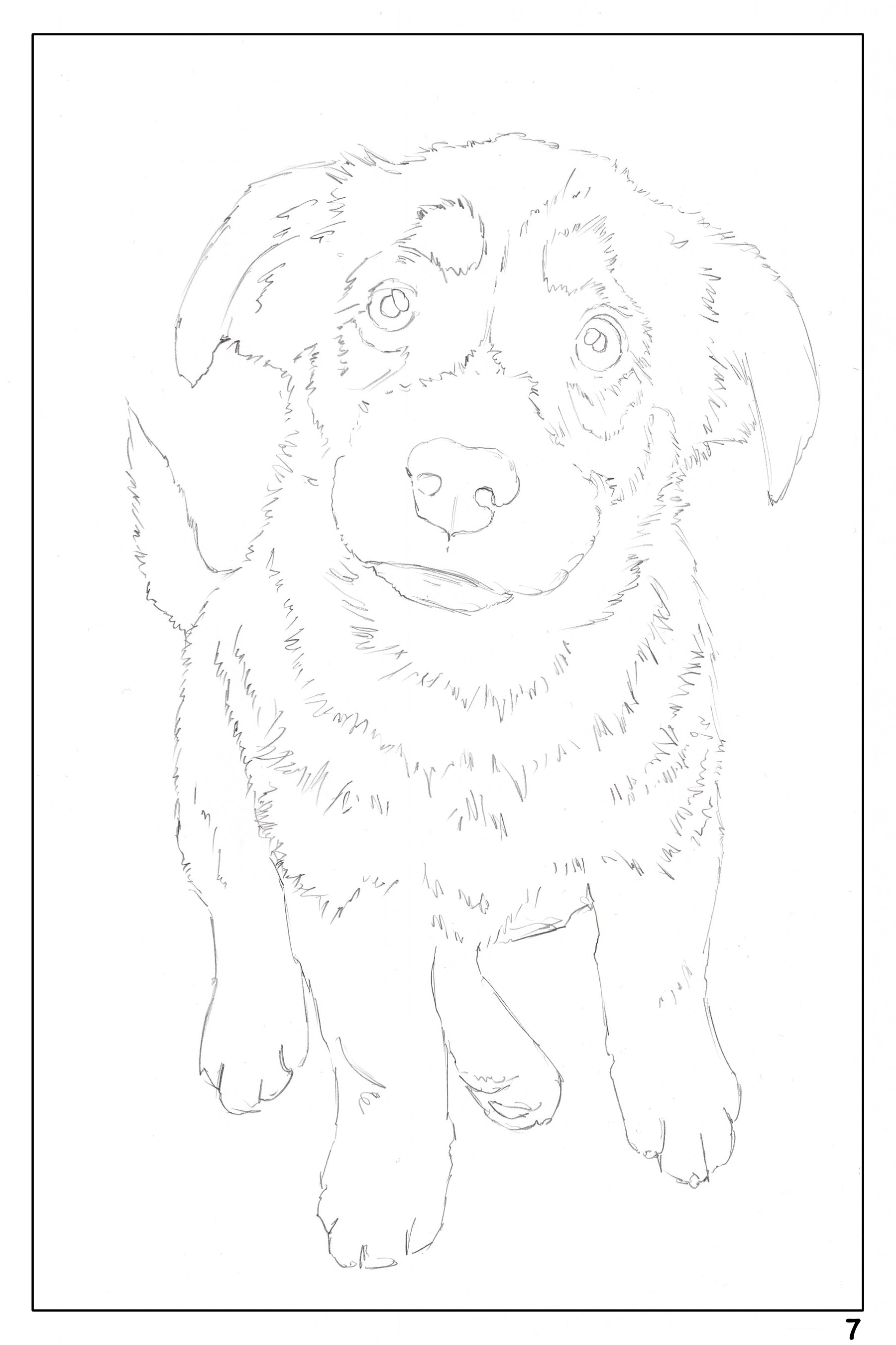 watercolor workbook page 7, coloring page of a German Shepherd puppy 
