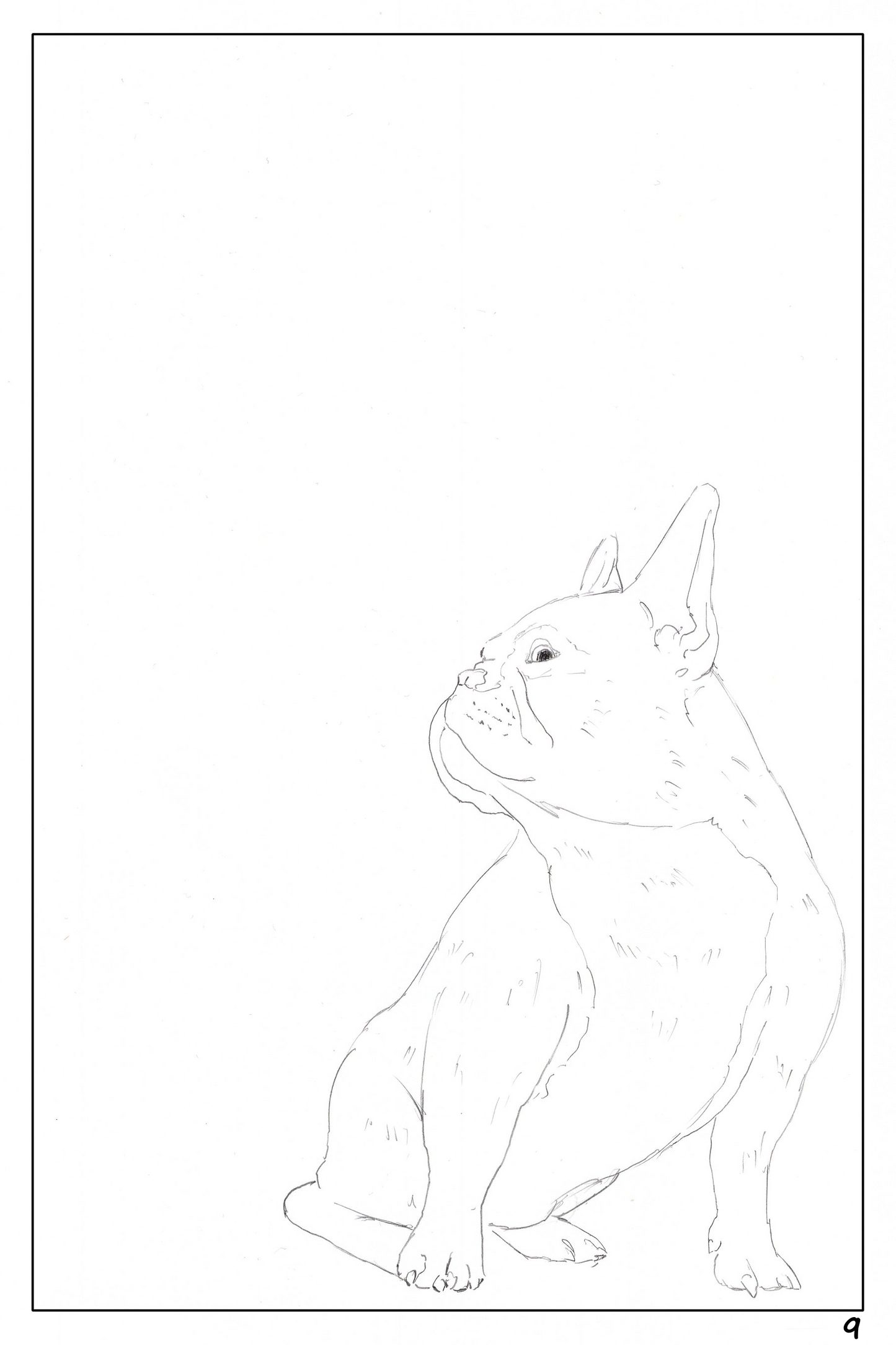 watercolor workbook page 9, coloring page of a cute French Bulldog looking up to the left
