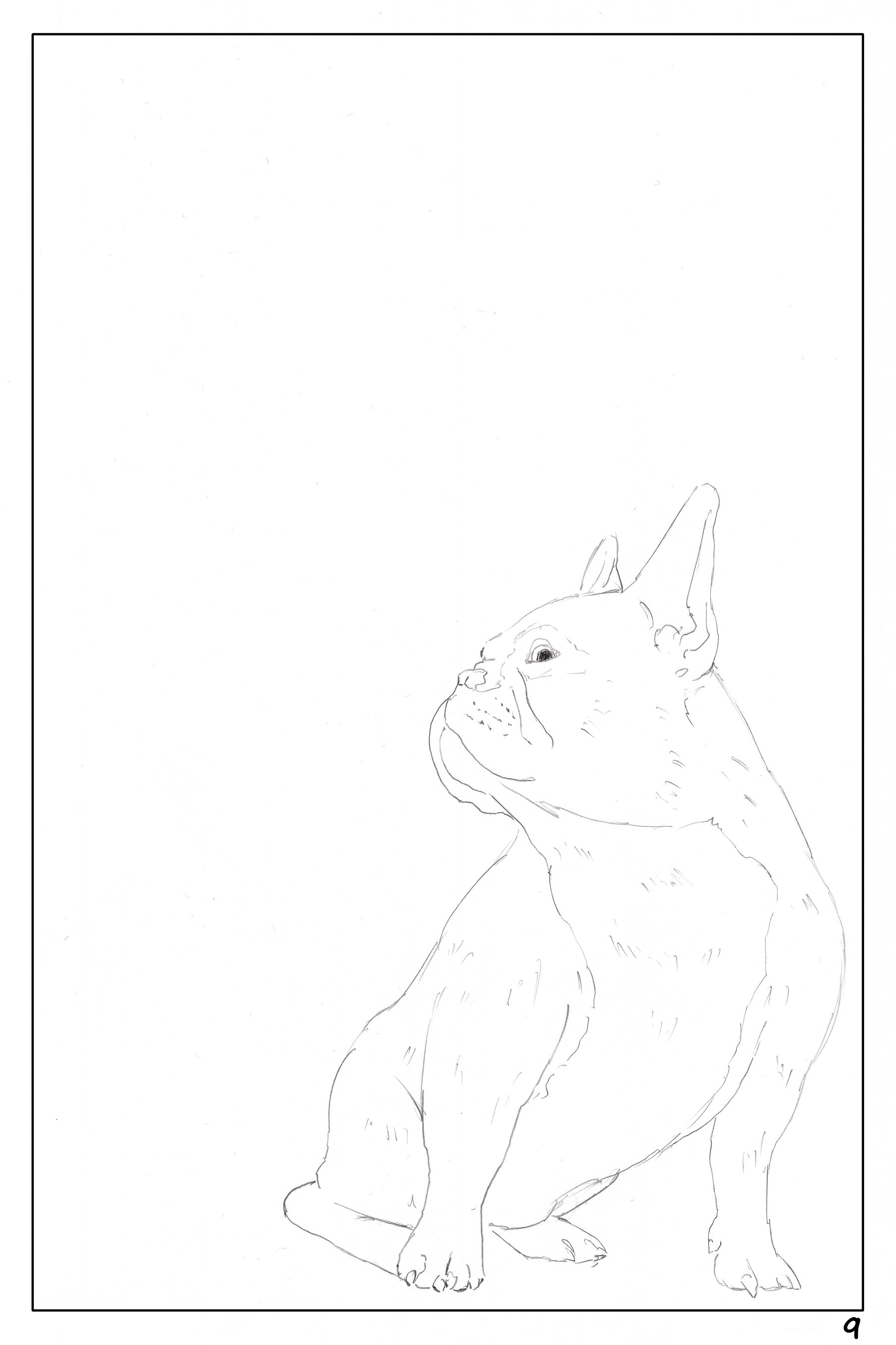 watercolor workbook page 9, coloring page of a cute French Bulldog looking up to the left