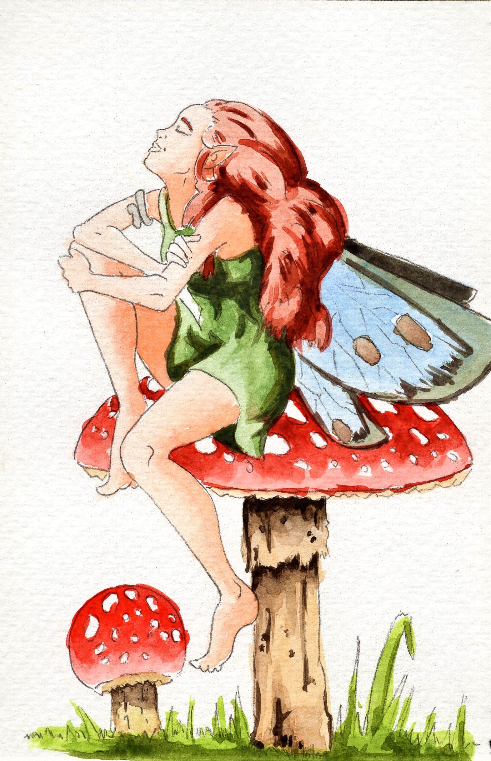 Fairy Tales and Legends Watercolor Coloring Book