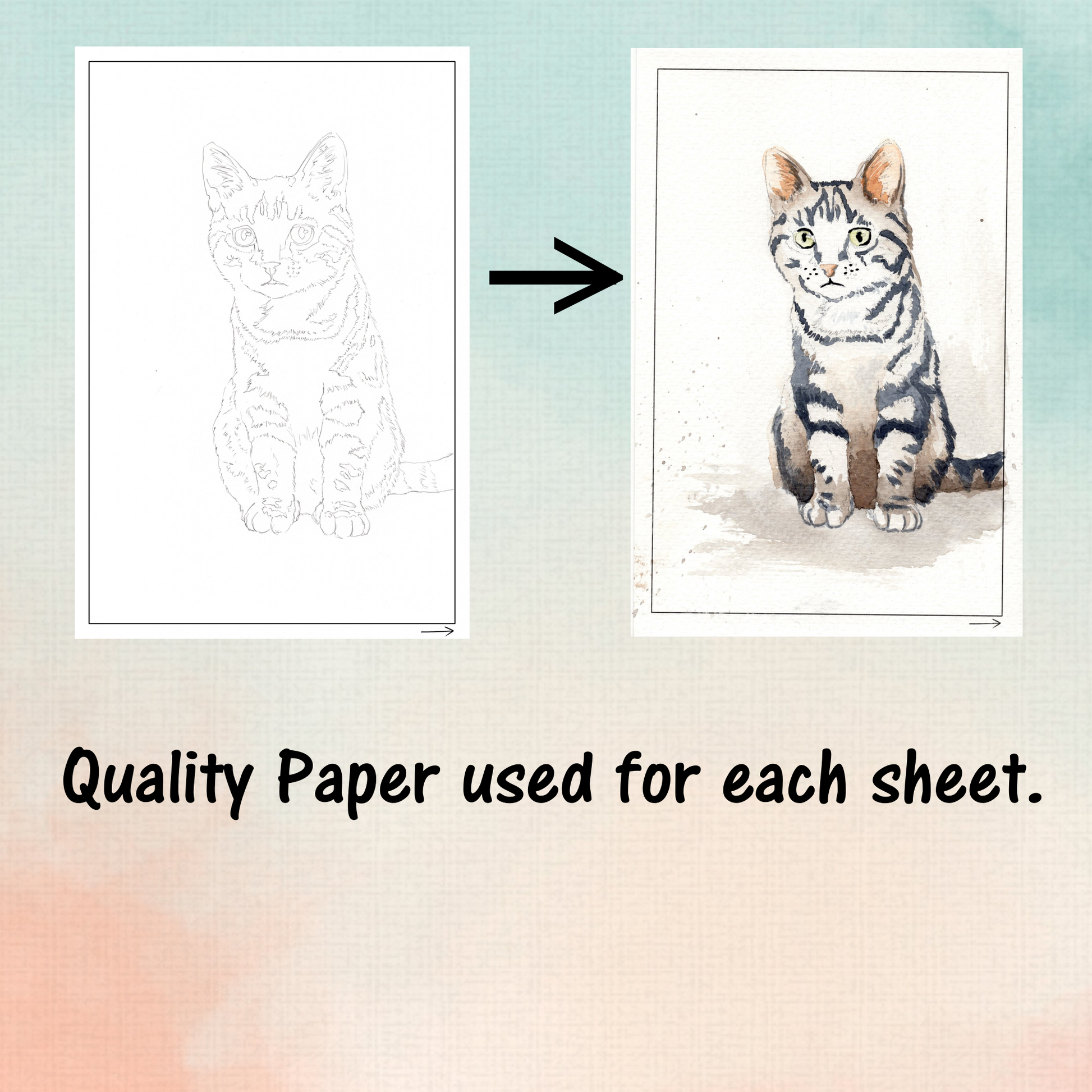watercolor painting of a cat before and after