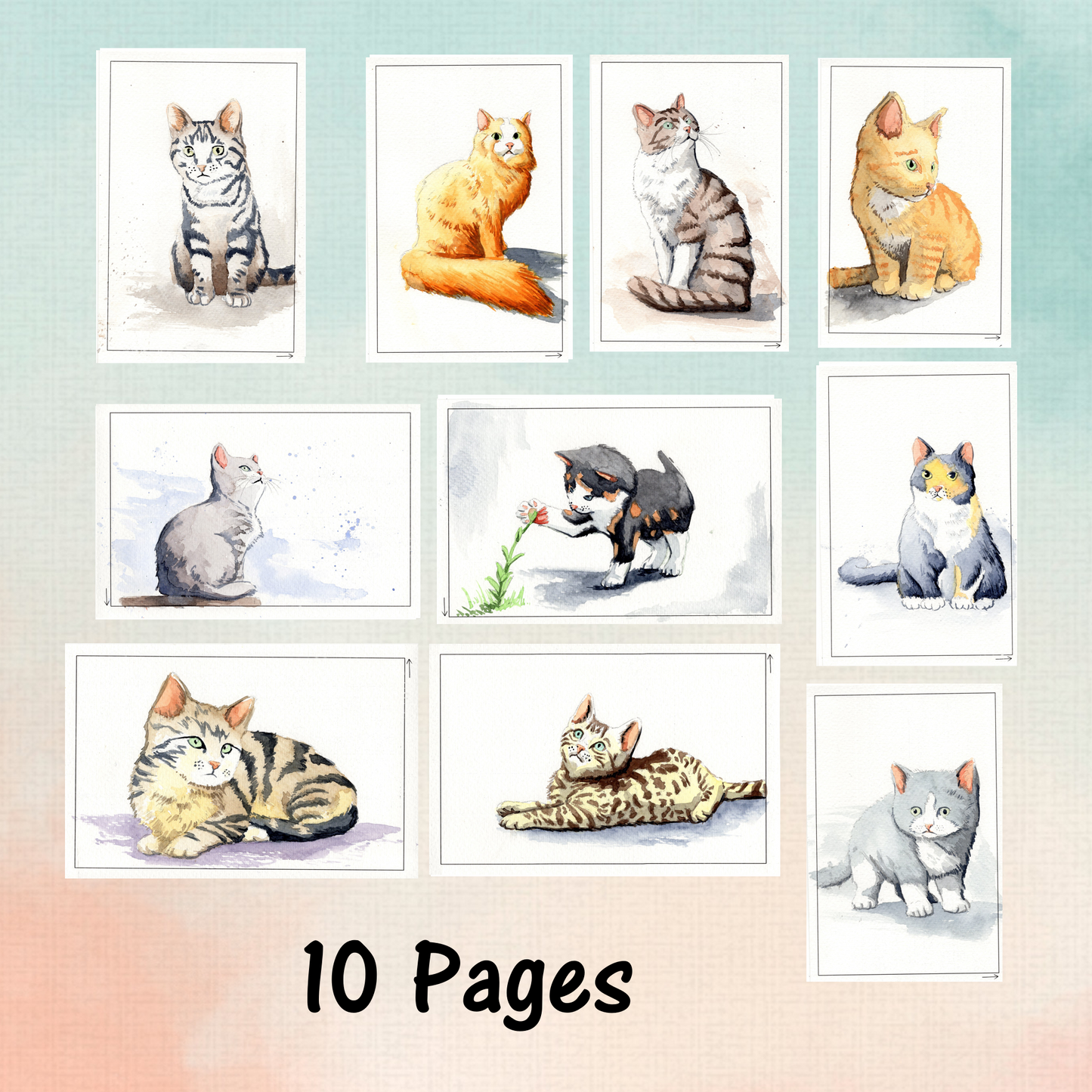 Cute Cat Watercolor Coloring Book, Watercolor Kit, Watercoloring Book