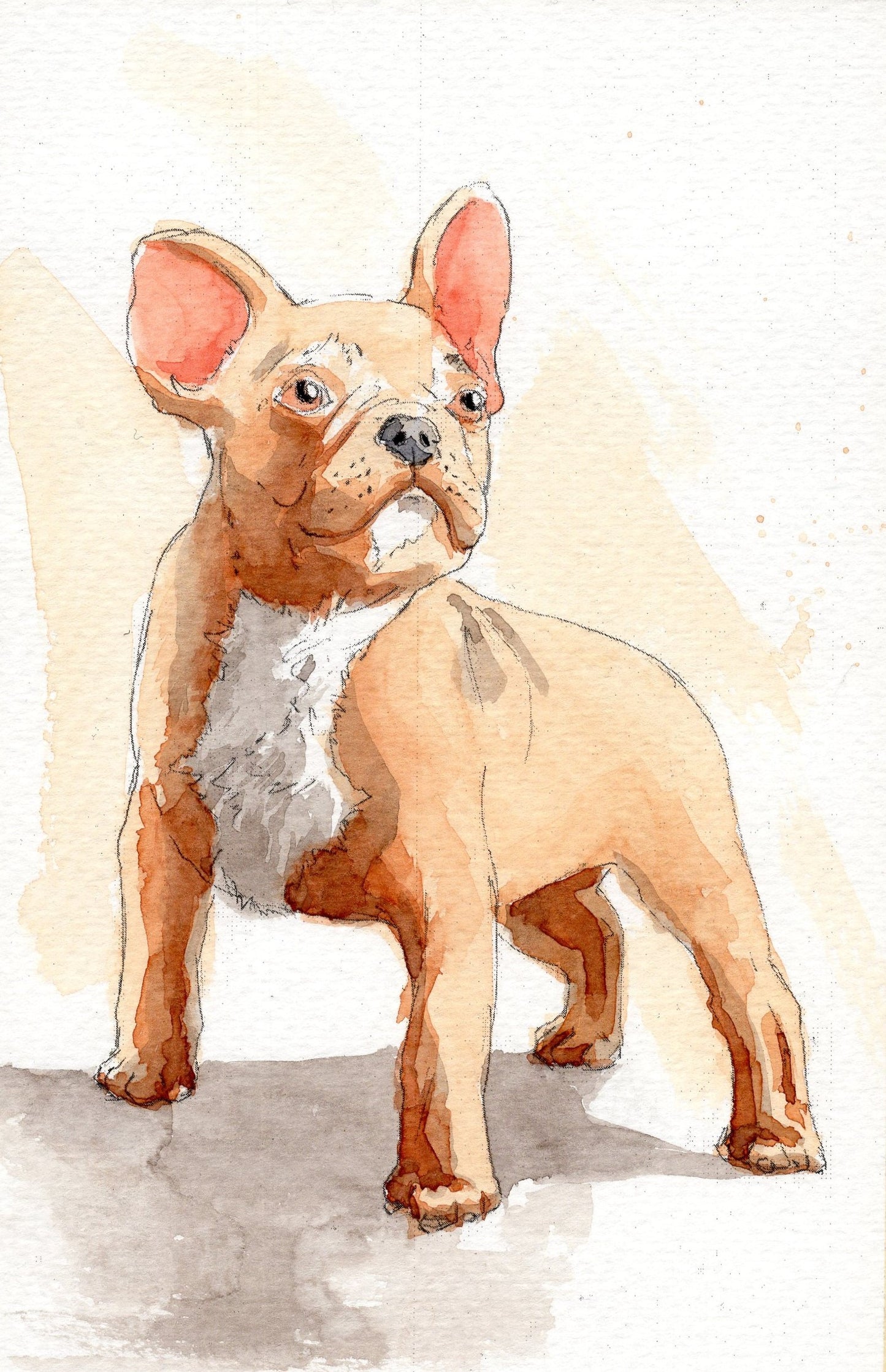 Cute Dog Watercoloring book