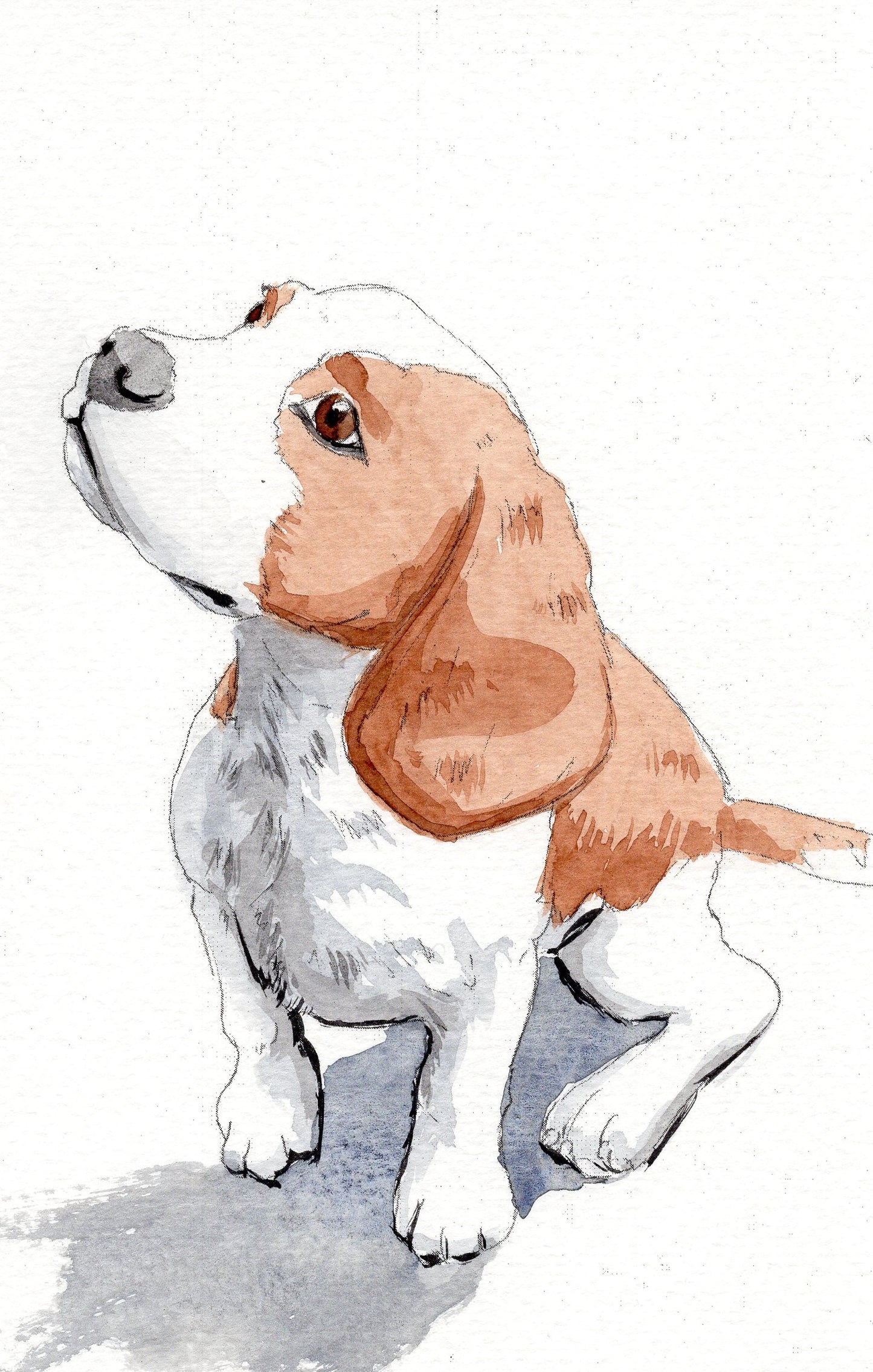 Cute Dog Watercoloring book