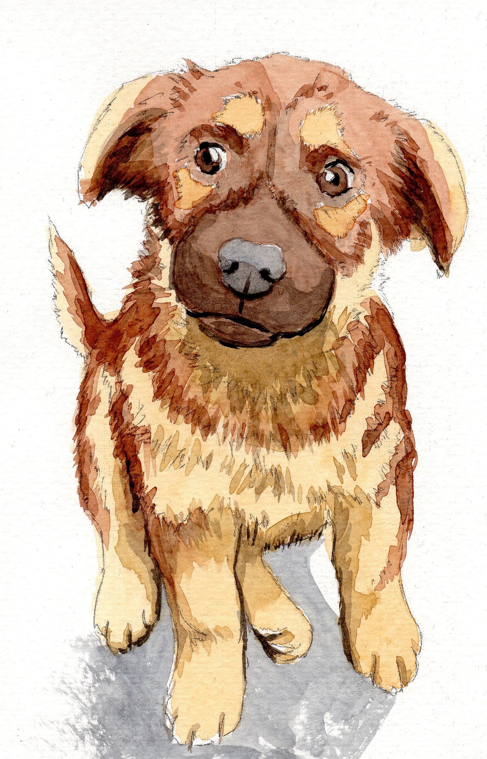 Watercolor painting of a cute German Shepherd puppy dog 
